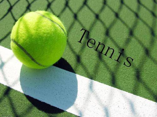 篮网已经逐 篮网已经逐